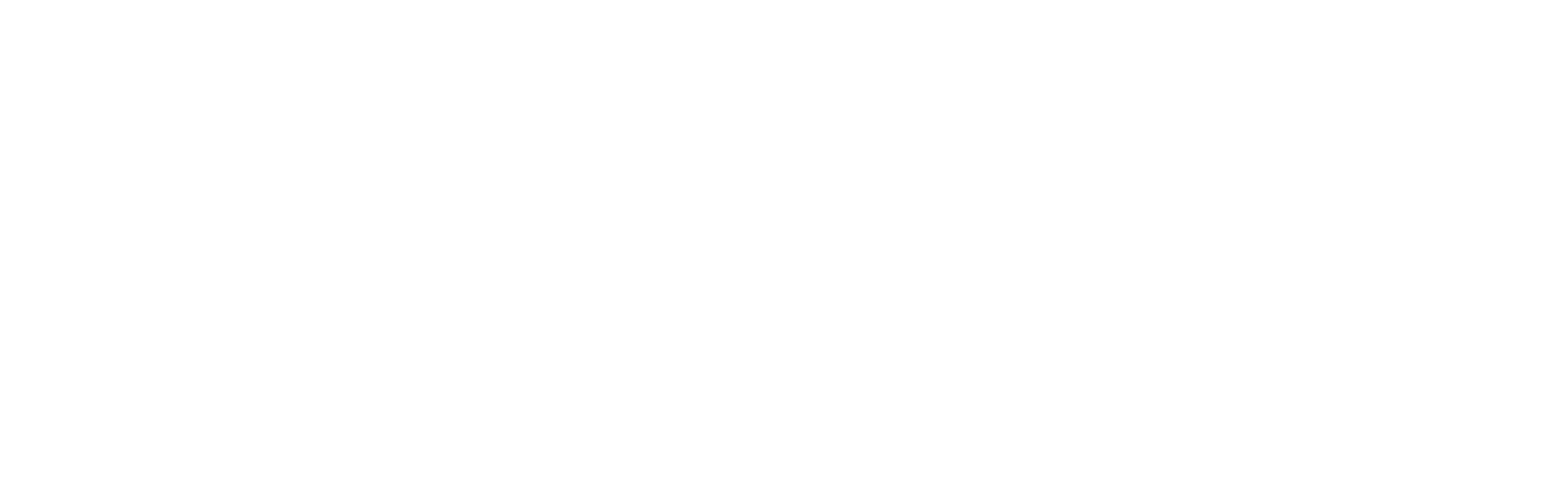 CFDESIGNLOGO2